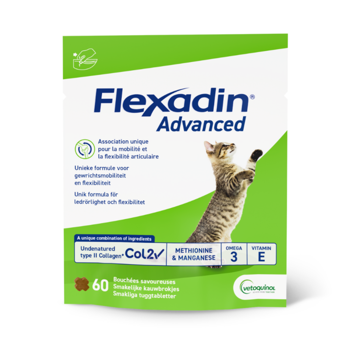 Flexadin Advanced Cat har utvecklats speciellt för att möta katters specifika behov för att hålla lederna flexibla. Den unika kombinationen av odenaturerat kollagen typ II, Omega 3, vitamin E, mangan och metionin stödjer din katts leder och håller din fyrbenta vän flexibel.
