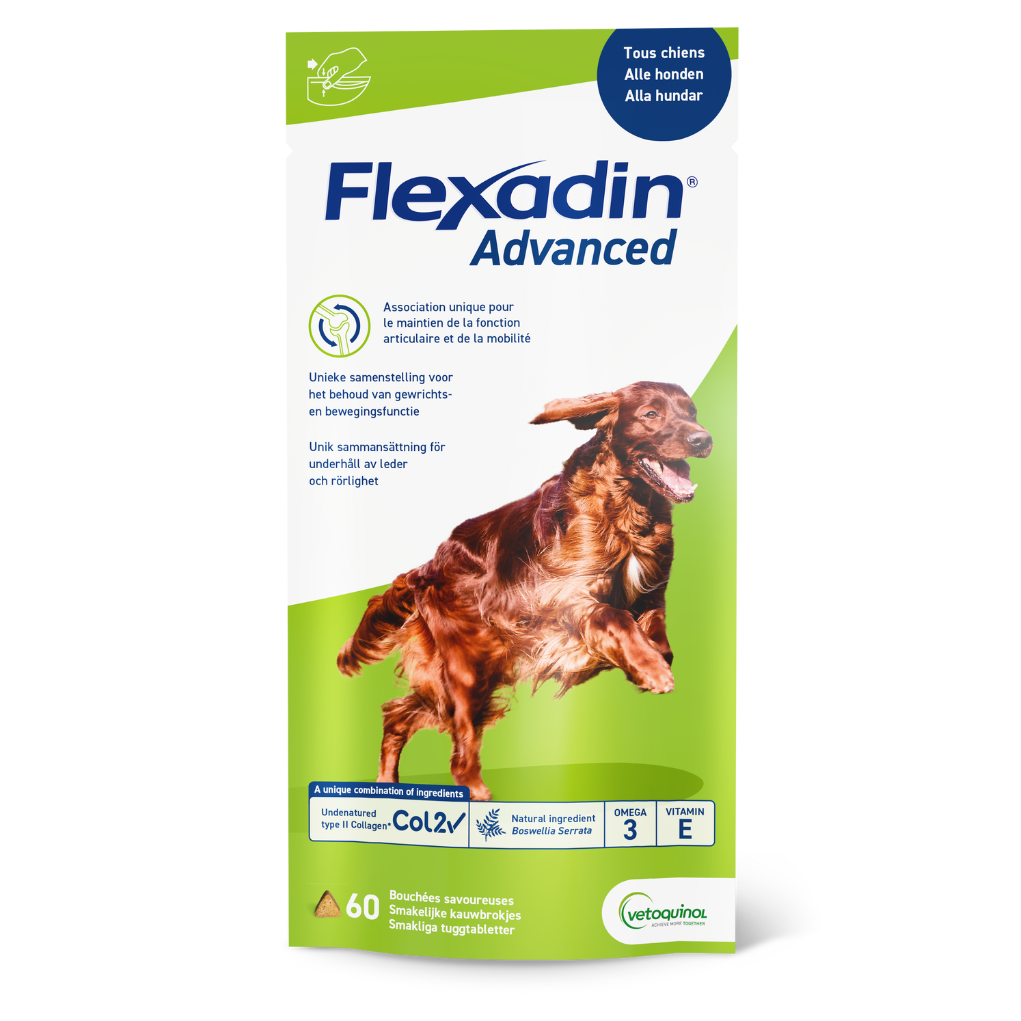 Den unika kombinationen av odenaturerat kollagen typ II, Boswellia Serrata, Omega 3 och vitamin E ger optimalt stöd för din hunds leder.