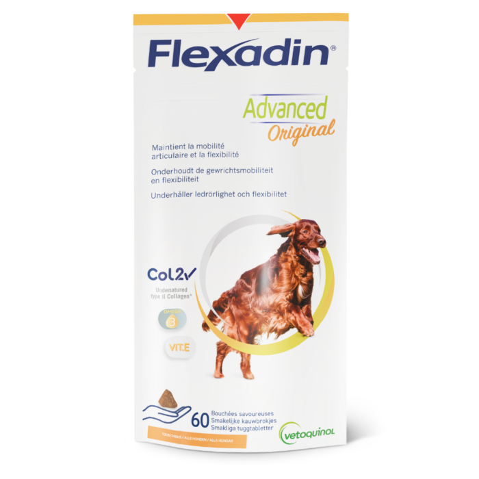 Flexadin Advanced Original innehåller den unika kombinationen av odenaturerat kollagen typ II, Omega 3-fettsyror och vitamin E för att stödja din hunds leder. Flexadin Advanced Original har behållit sin ursprungliga smak och är speciellt utvecklad för kräsna hundar. De noggrant utvalda högkvalitativa , naturliga ingredienser stödjer din hunds leder och håller din fyrbente vän smidig.